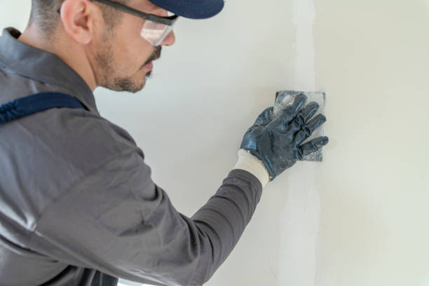 Best Fire-Damaged Drywall Repair  in Monroe, OH